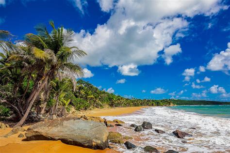 puerto rico naked|Discover the Best Nude Beaches in Puerto Rico for a Unique。